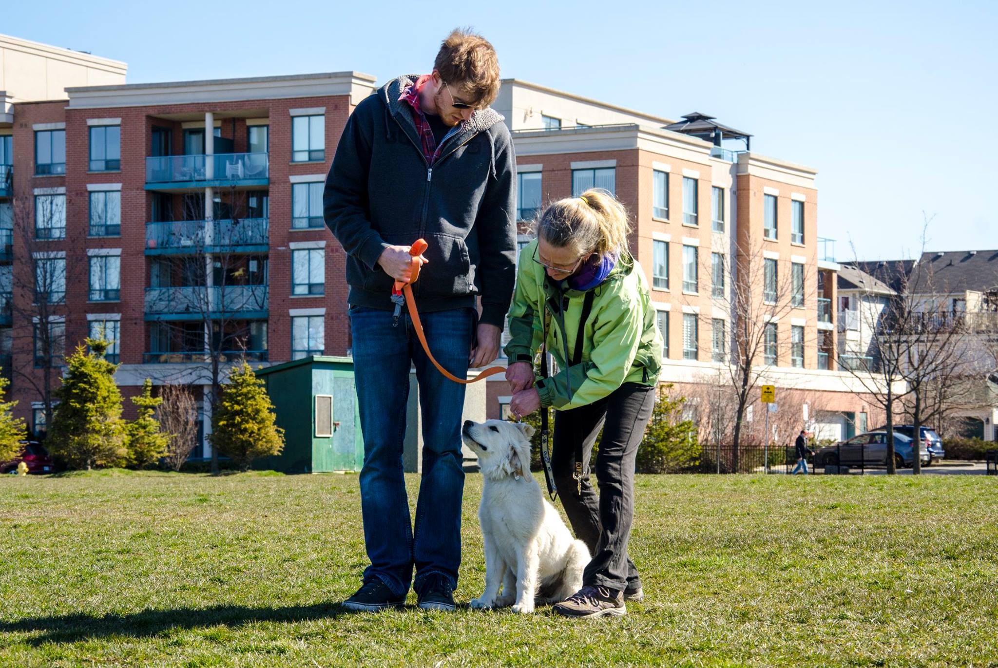 Lynne Hind in training with golden retriever puppy and their owner.