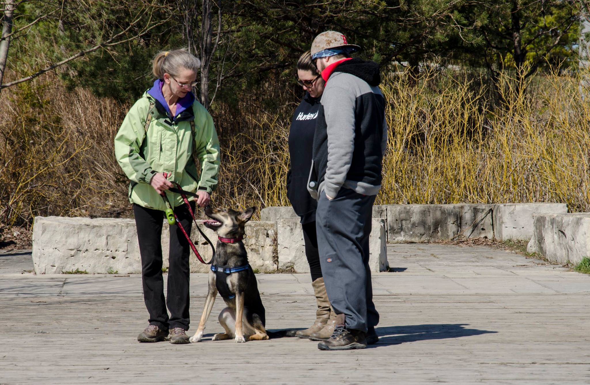 Lynne in training with rescue husky and their two owners